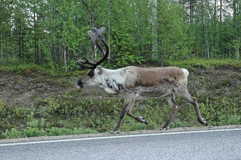 DSC_0082 1_out.jpg